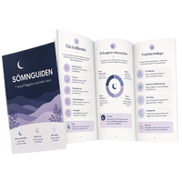 Barnsömnguide E-bok