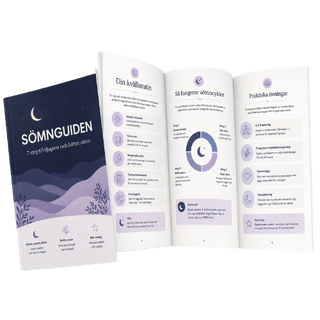 Barnsömnguide E-bok